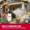 image:imageChapin 10031 Handheld Pump Sprayer 68oz MultiPurpose Lawn amp Garden Translucent Poly Tank Adjustable Brass Nozzle ThumbTrigger Lock amp inTank Filter for Fertilizer Weed amp Pest Applications68 Ounce  Consumer