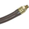 image:imageChapin International 1530885 Chapin 66091 Industrial Hose with Fittings 48