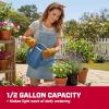 image:imageChapin 48010 Watering Can 2 Gallon Indoor and Outdoor Plants Lawn Garden Removable Nozzle DripFree Sprinkler Head Recycled Plastic Blue05 Gallons  Blue