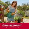 image:imageChapin 48010 Watering Can 2 Gallon Indoor and Outdoor Plants Lawn Garden Removable Nozzle DripFree Sprinkler Head Recycled Plastic Blue05 Gallons  Green