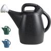 2 Gallons  Black