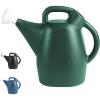 2 Gallons  Green